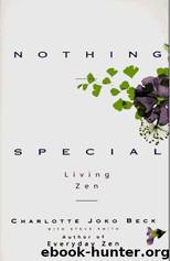 Nothing Special: Living Zen by Charlotte Joko Beck