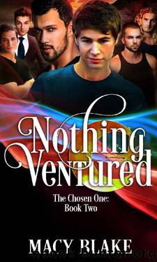 Nothing Ventured: The Chosen One Book Two by Macy Blake