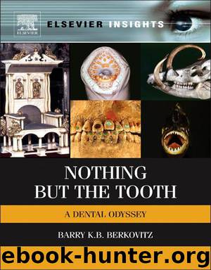 Nothing but the Tooth by Berkovitz Barry K.B