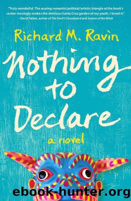 Nothing to Declare by Richard Ravin