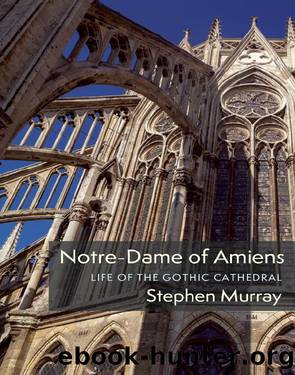 Notre-dame of Amiens : Life of the Gothic Cathedral (9780231551472) by Murray Stephen
