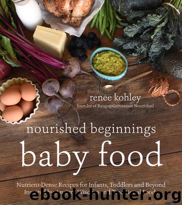 Nourished Beginnings Baby Food by Renee Kohley