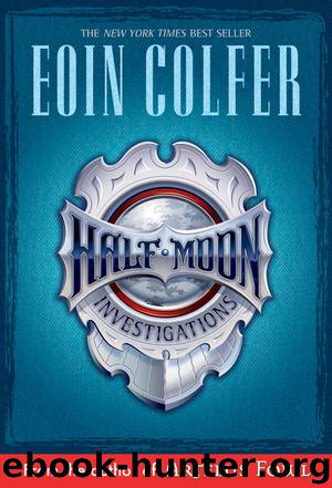Novel - Half Moon Investigations by Eoin Colfer