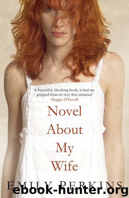 Novel About My Wife by Perkins Emily