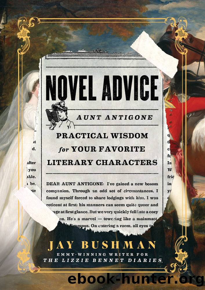 Novel Advice by Jay Bushman
