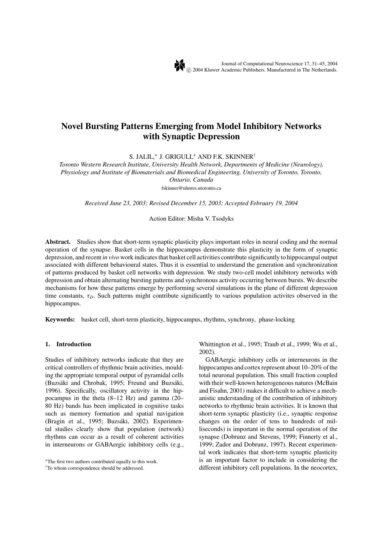Novel Bursting Patterns Emerging from Model Inhibitory Networks with Synaptic Depression by Unknown