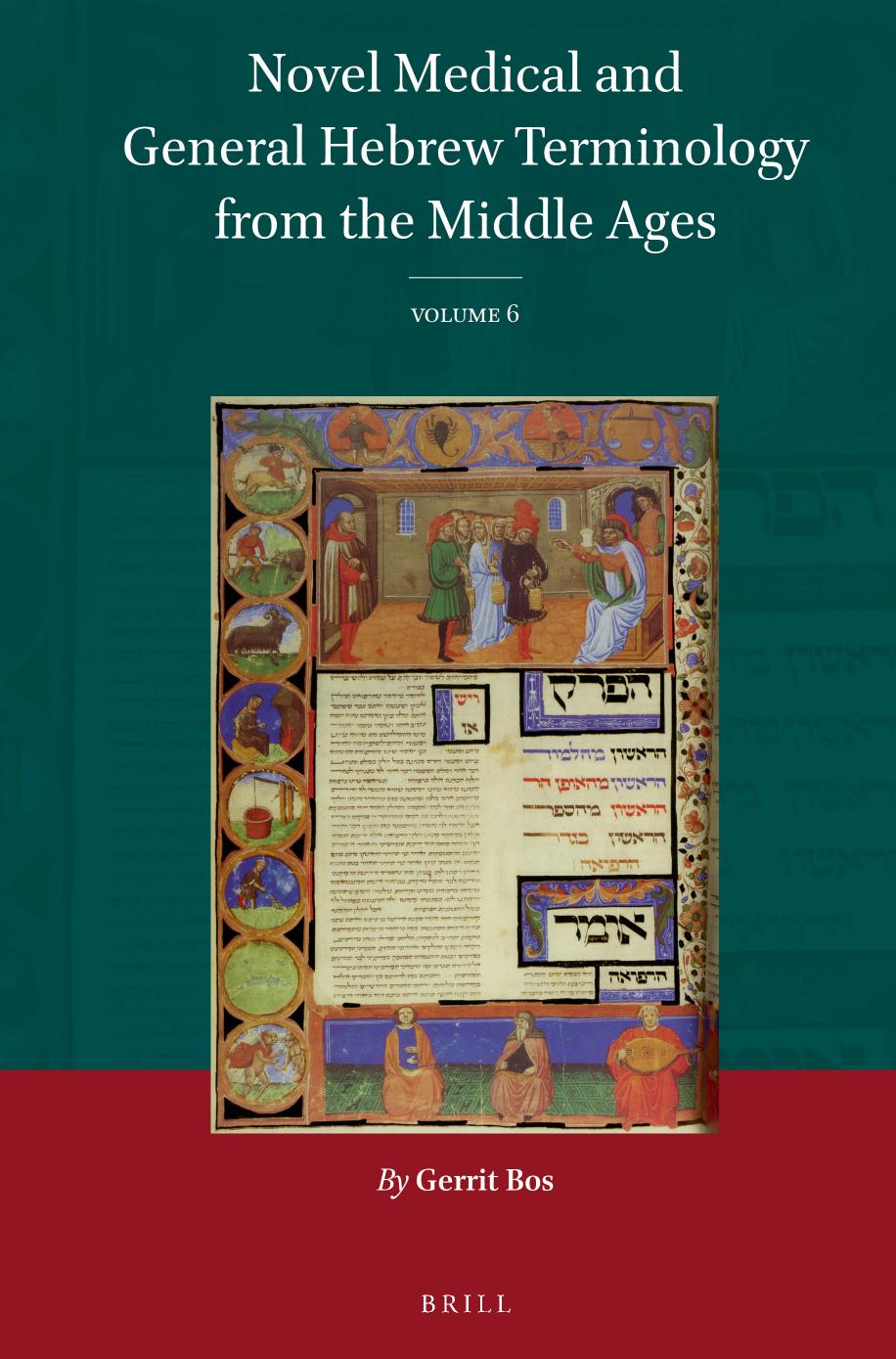 Novel Medical and General Hebrew Terminology from the Middle Ages, Volume 6 by Gerrit Bos