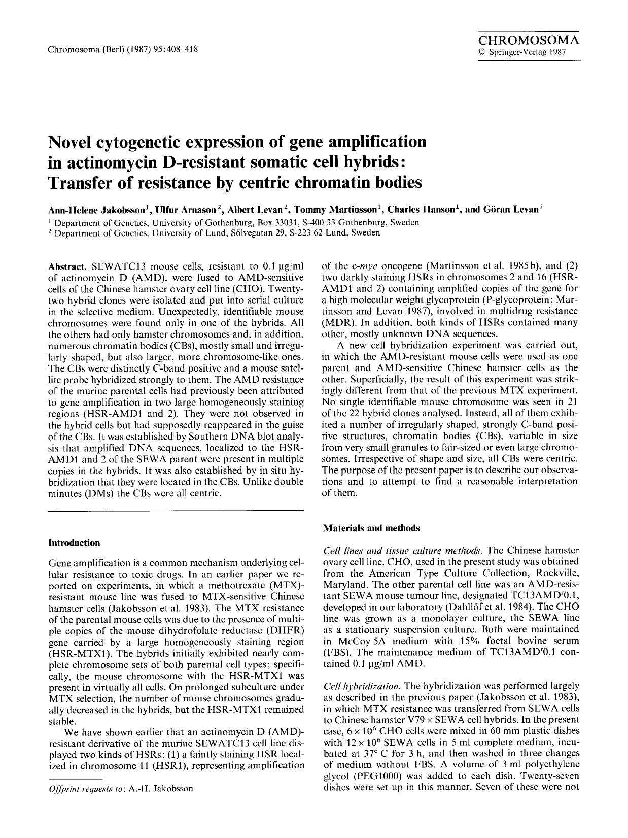 Novel cytogenetic expression of gene amplification in actinomycin D-resistant somatic cell hybrids: transfer of resistance by centric chromatin bodies by Unknown