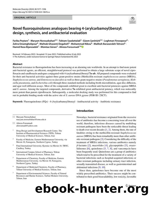 Novel fluoroquinolones analogues bearing 4-(arylcarbamoyl)benzyl: design, synthesis, and antibacterial evaluation by unknow