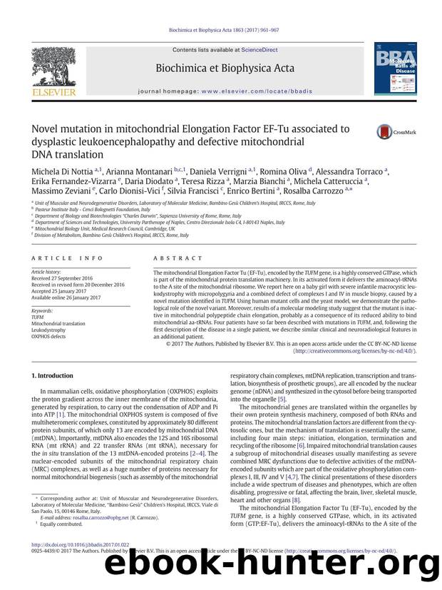 Novel mutation in mitochondrial Elongation Factor EF-Tu associated to dysplastic leukoencephalopathy and defective mitochondrial DNA translation by unknow