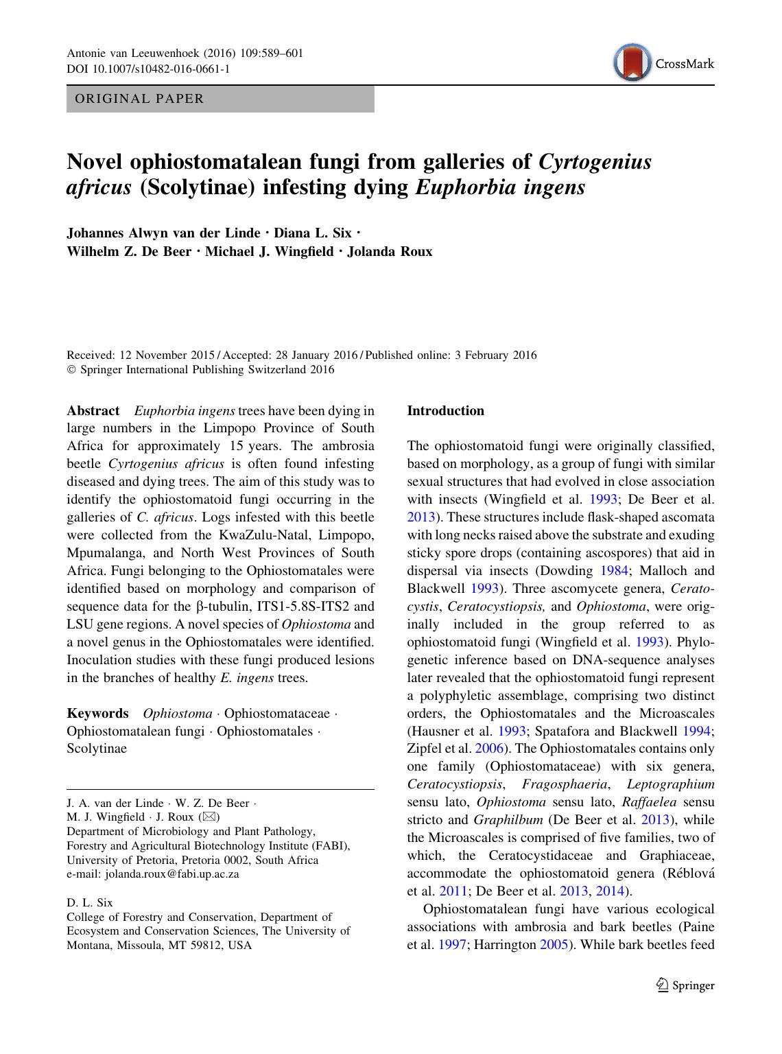 Novel ophiostomatalean fungi from galleries of Cyrtogenius africus (Scolytinae) infesting dying Euphorbia ingens by Johannes Alwyn Linde & Diana L. Six & Wilhelm Z. Beer & Michael J. Wingfield & Jolanda Roux