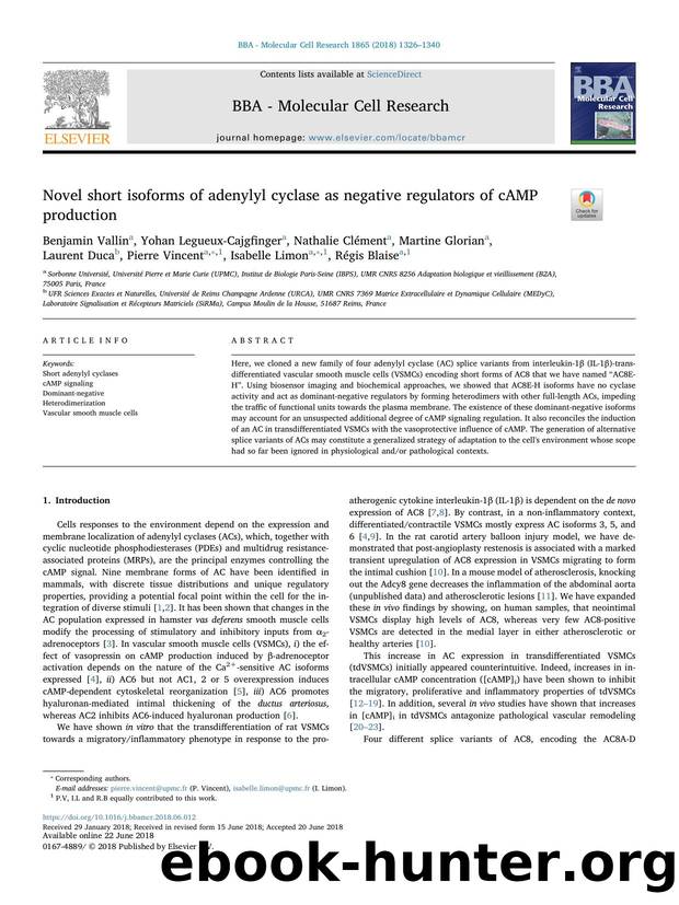 Novel short isoforms of adenylyl cyclase as negative regulators of cAMP production by unknow