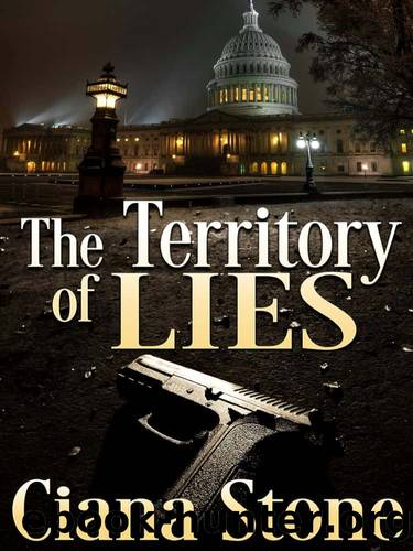 Novels2017-The Territory of Lies by Stone Ciana