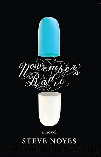 November's Radio by Steve Noyes