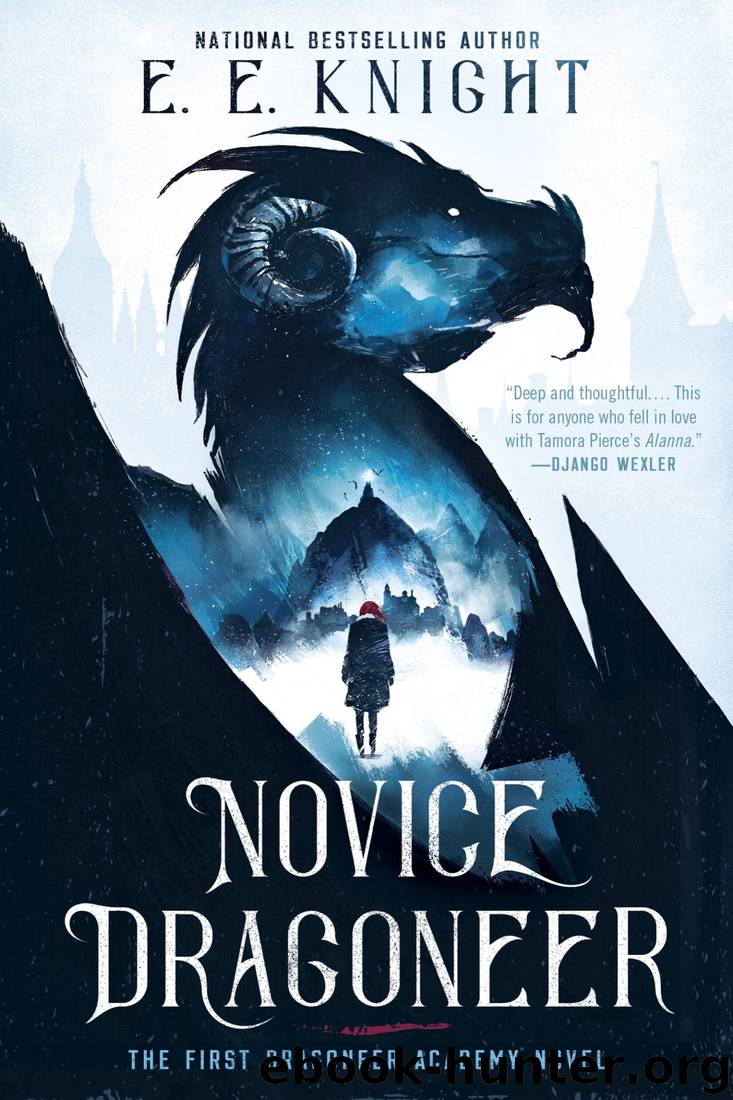 Novice Dragoneer by E E Knight