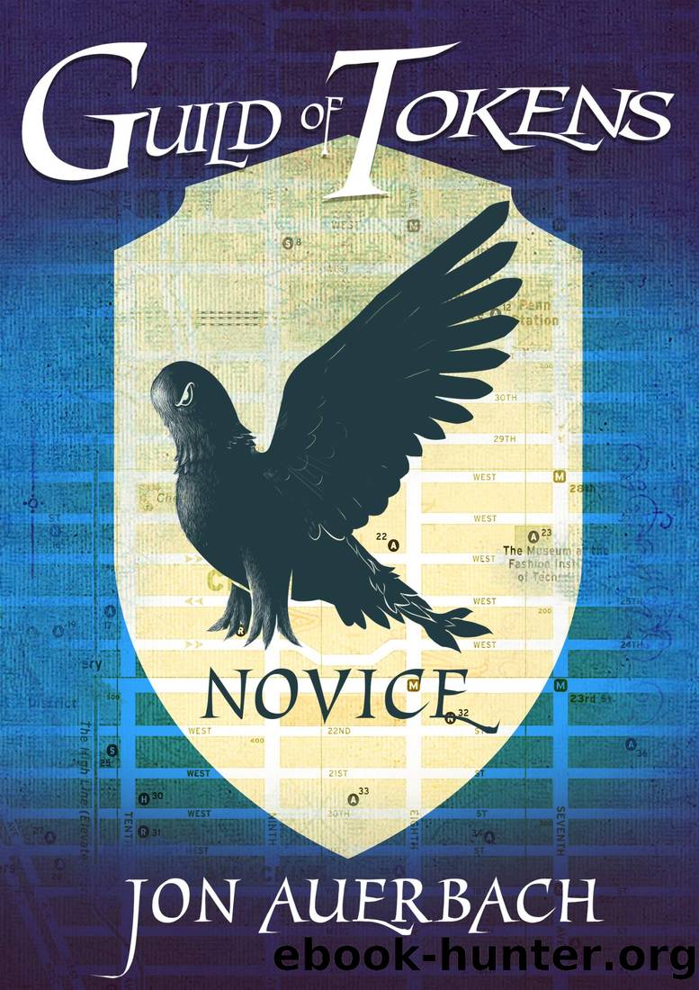 Novice by Jon Auerbach
