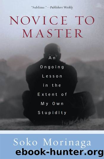 Novice to Master: An Ongoing Lesson in the Extent of My Own Stupidity by Soko Morinaga