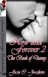 Now & Forever 2 - The book of Danny by Joachim Jean