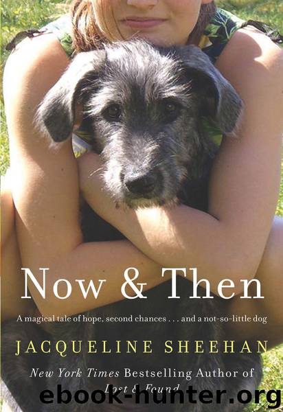 Now & Then by Jacqueline Sheehan