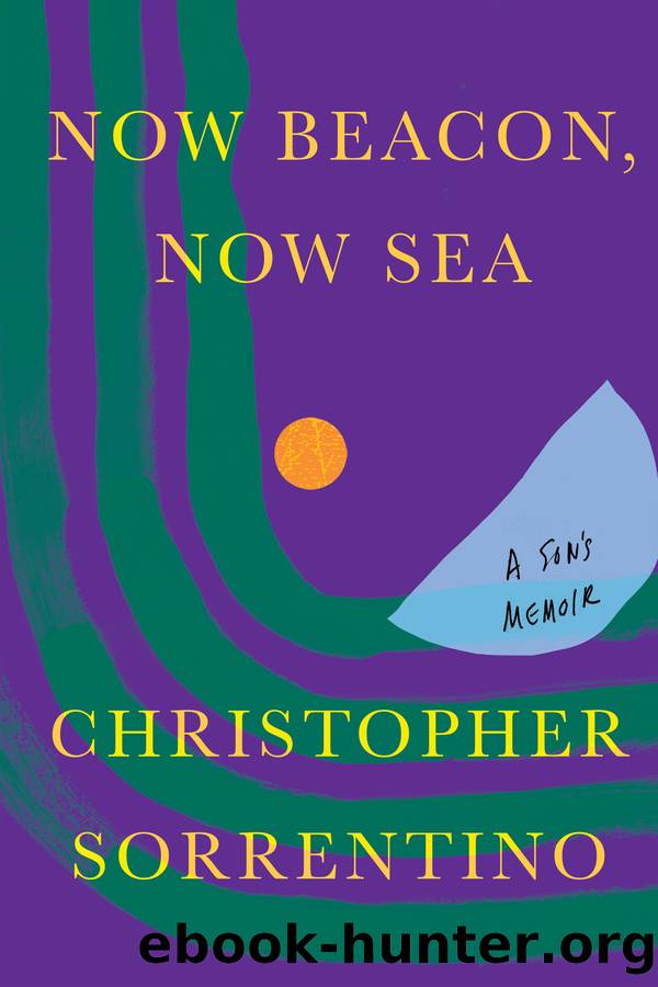 Now Beacon, Now Sea: A Son's Memoir by Christopher Sorrentino