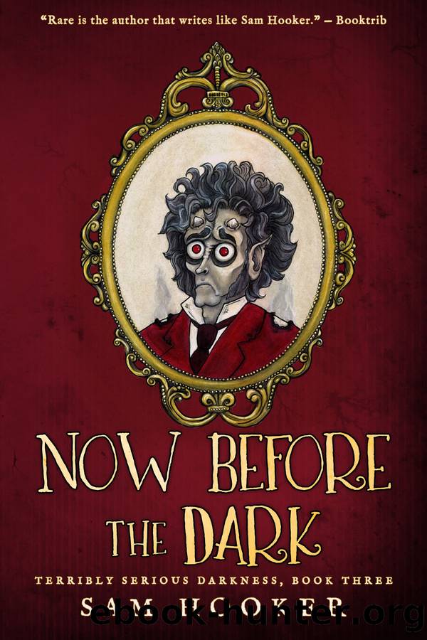 Now Before the Dark by Sam Hooker