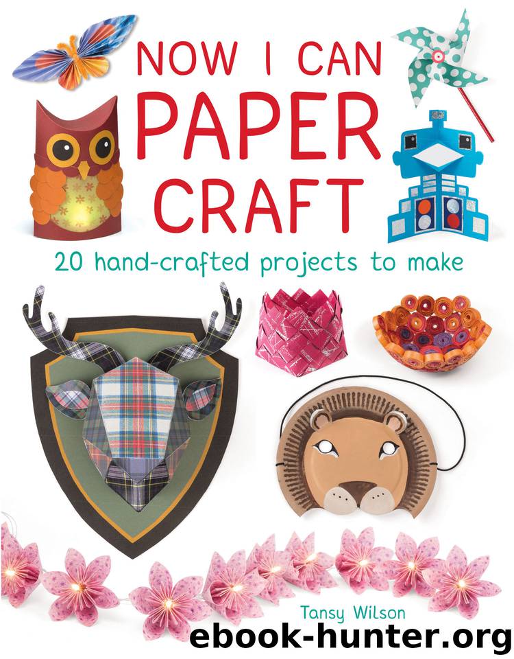 Now I Can Paper Craft: 20 Hand-Crafted Projects to Make by Tansy Wilson