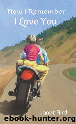 Now I Remember I Love You by Janet Aird