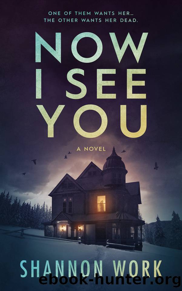 Now I See You (Mountain Resort Mystery series Book 1) by Work Shannon