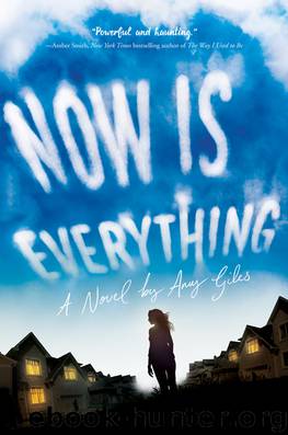 Now Is Everything by Amy Giles