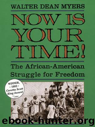 Now Is Your Time! by Walter Dean Myers