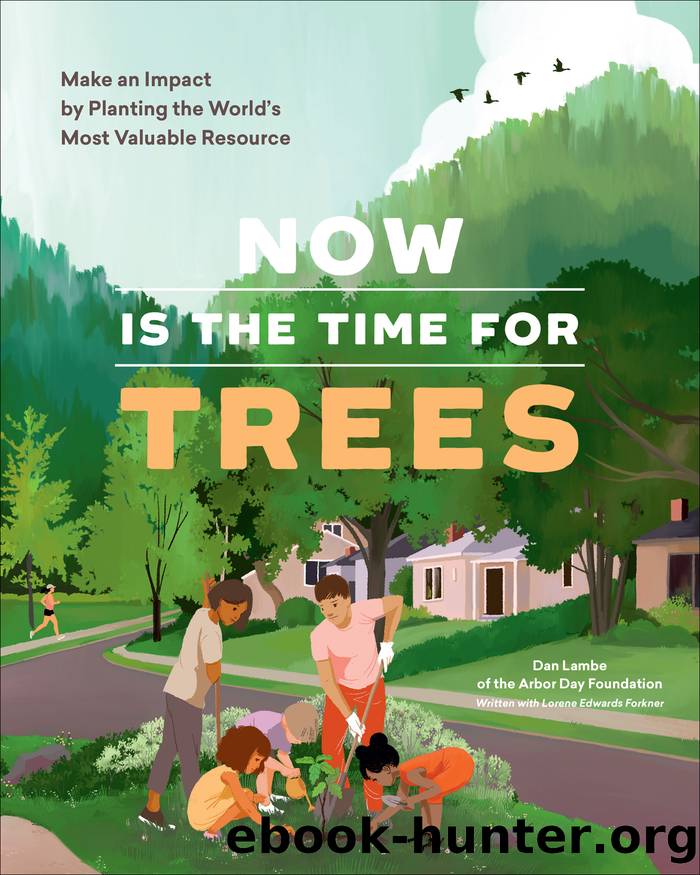 Now Is the Time for Trees by Arbor Day Foundation
