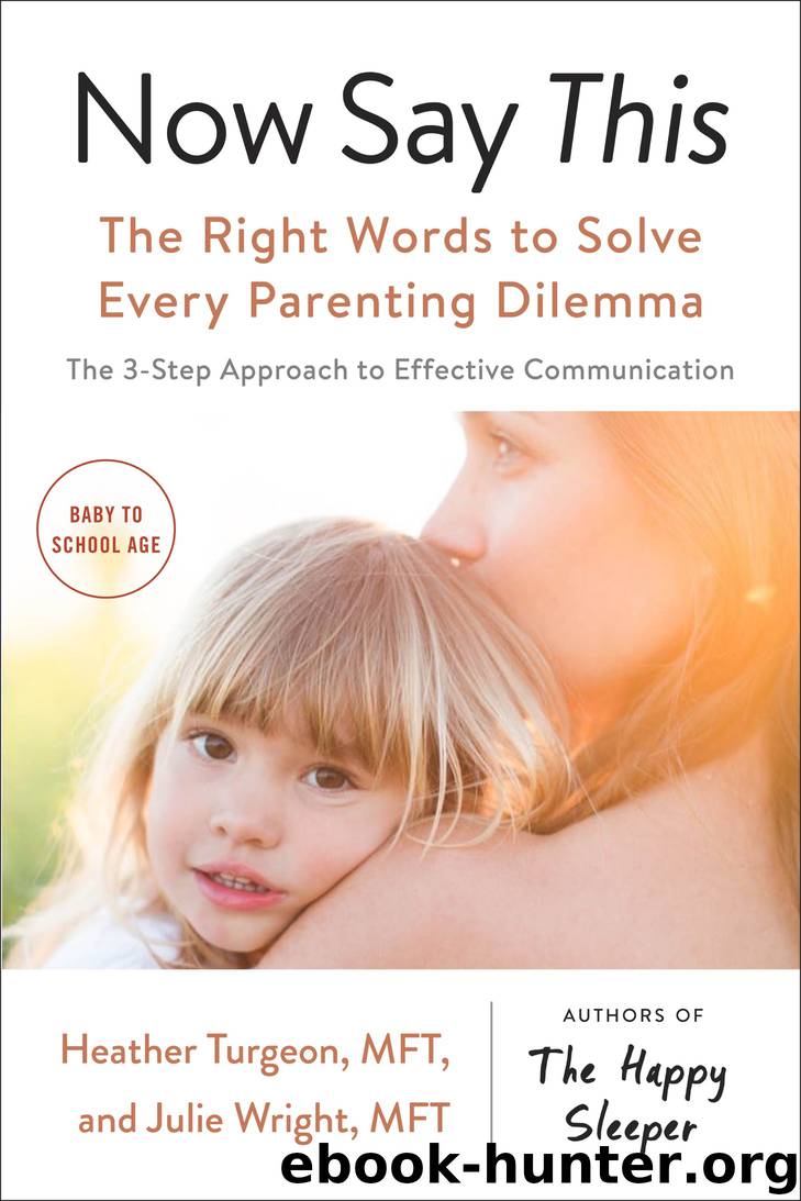 Now Say This by Heather Turgeon MFT & Julie Wright MFT