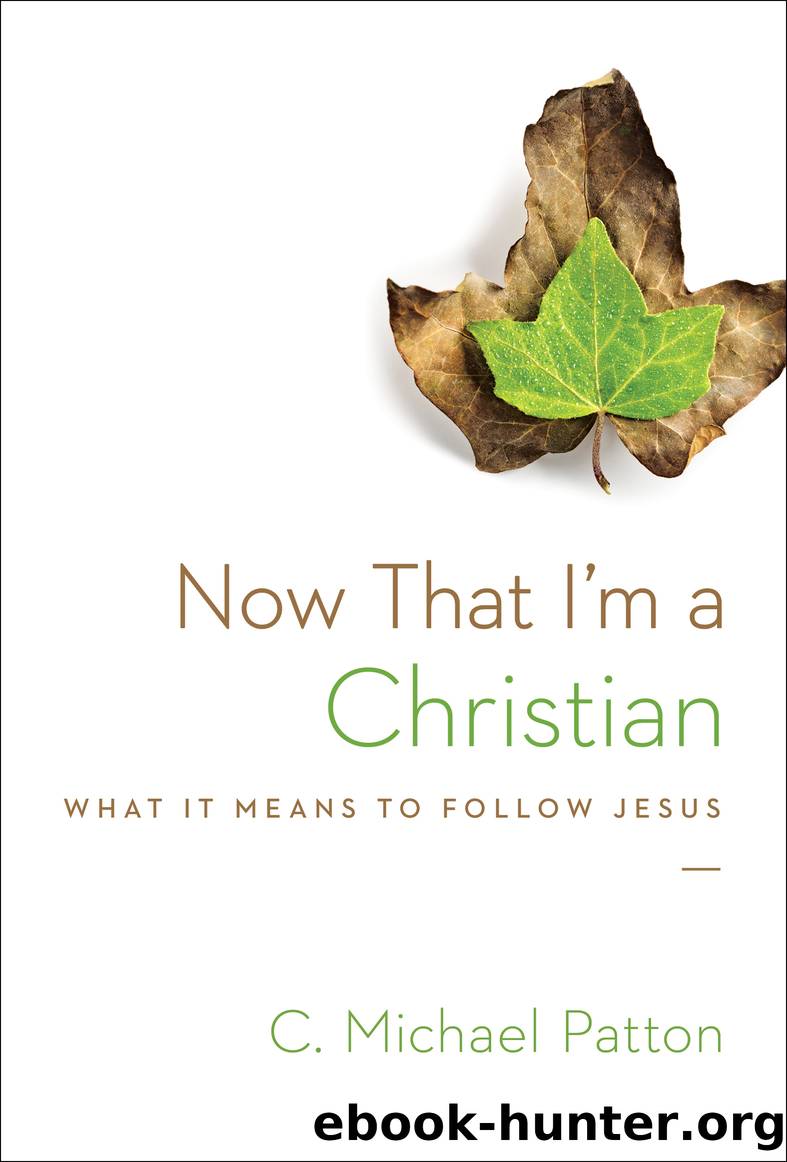 Now That I'm a Christian by C. Michael Patton