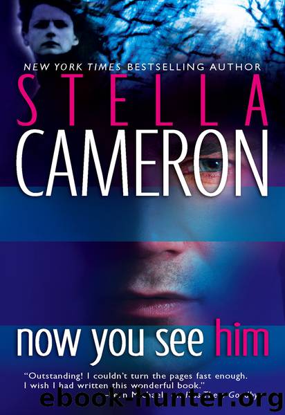 Now You See Him by Stella Cameron