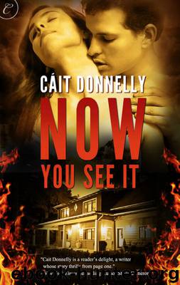 Now You See It by Cáit Donnelly