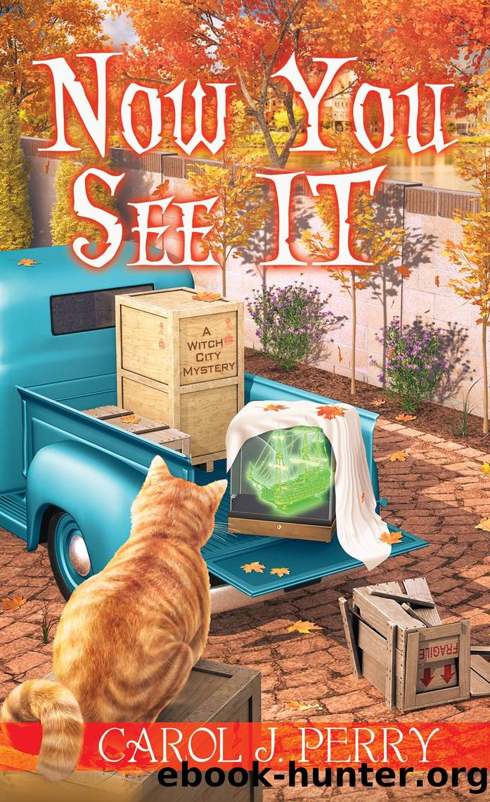 Now You See It by Carol J. Perry