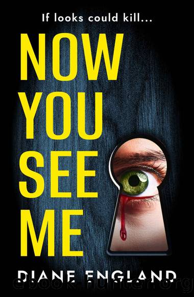 Now You See Me by Diane England