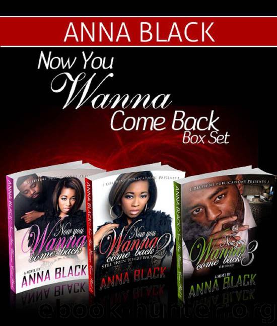Now You Wanna Come Back 1,2,3 Box Set by Anna Black