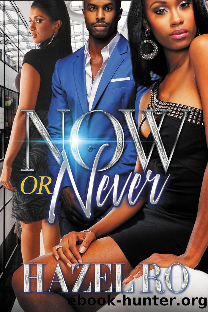 Now or Never by Hazel Ro