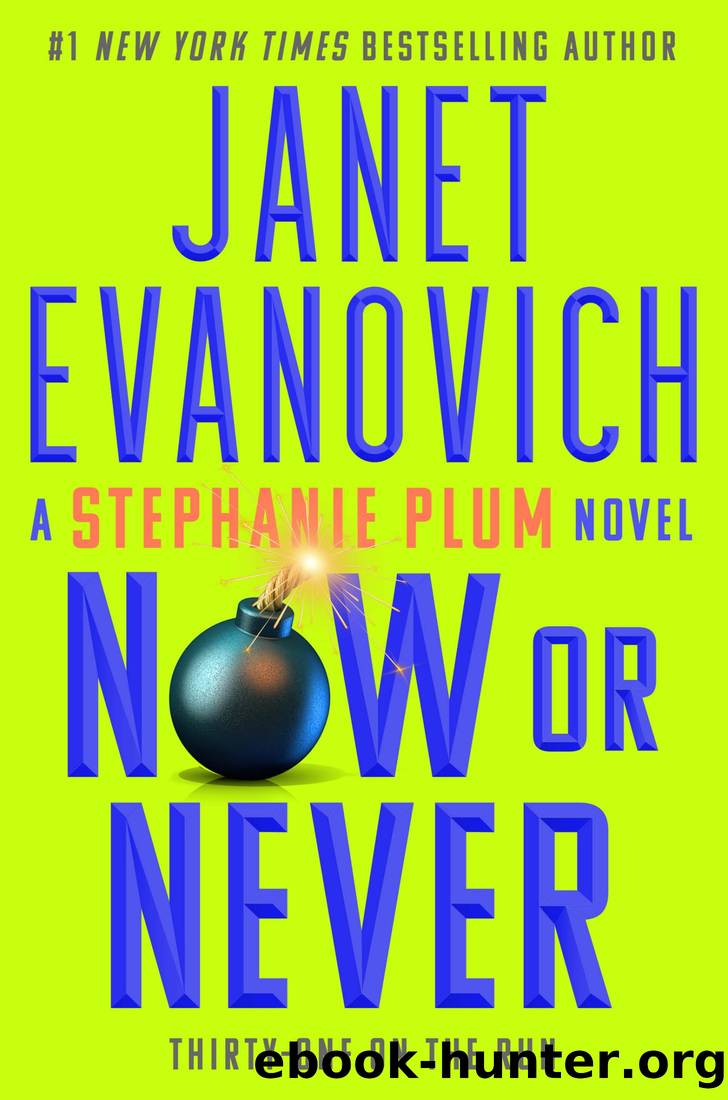 Now or Never by Janet Evanovich