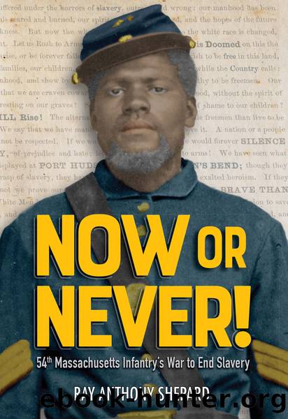 Now or Never! by Ray Anthony Shepard