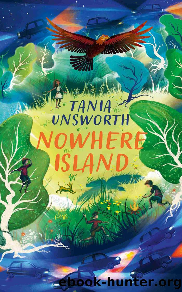 Nowhere Island by Tania Unsworth