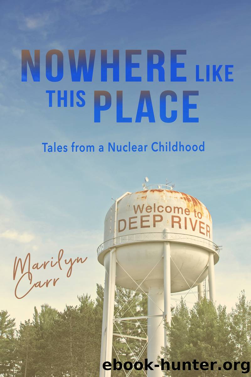 Nowhere like This Place by Carr Marilyn