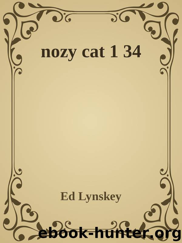 Nozy Cat 1 by Lyn Key