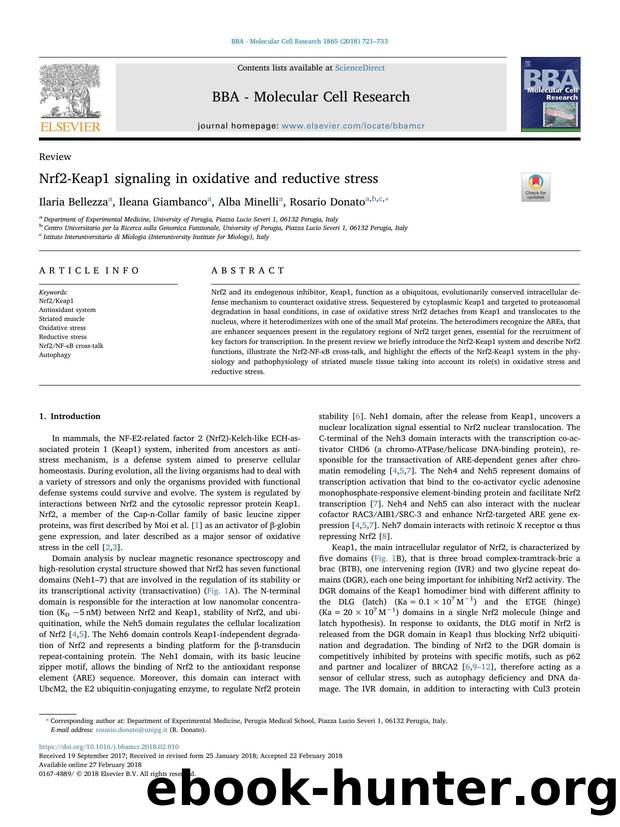 Nrf2-Keap1 signaling in oxidative and reductive stress by Ilaria Bellezza & Ileana Giambanco & Alba Minelli & Rosario Donato