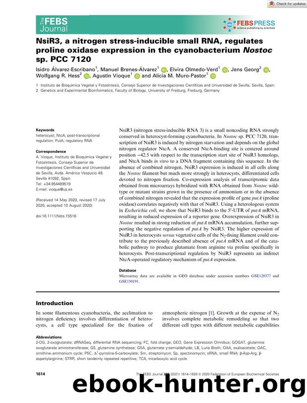 NsiR3, a nitrogen stressâinducible small RNA, regulates proline oxidase expression in the cyanobacterium Nostoc sp. PCC 7120 by Unknown