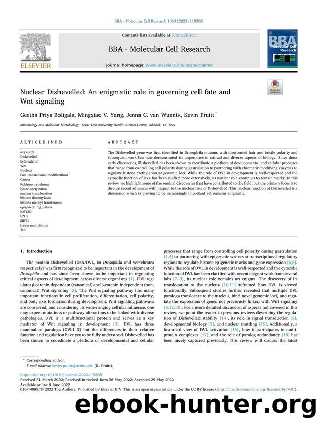 Nuclear Dishevelled: An enigmatic role in governing cell fate and Wnt signaling by Geetha Priya Boligala & Mingxiao V. Yang & Jenna C. van Wunnik & Kevin Pruitt