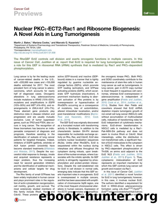Nuclear PKC&iota;-ECT2-Rac1 and Ribosome Biogenesis: A Novel Axis in Lung Tumorigenesis by Martin J. Baker & Mariana Cooke & Marcelo G. Kazanietz