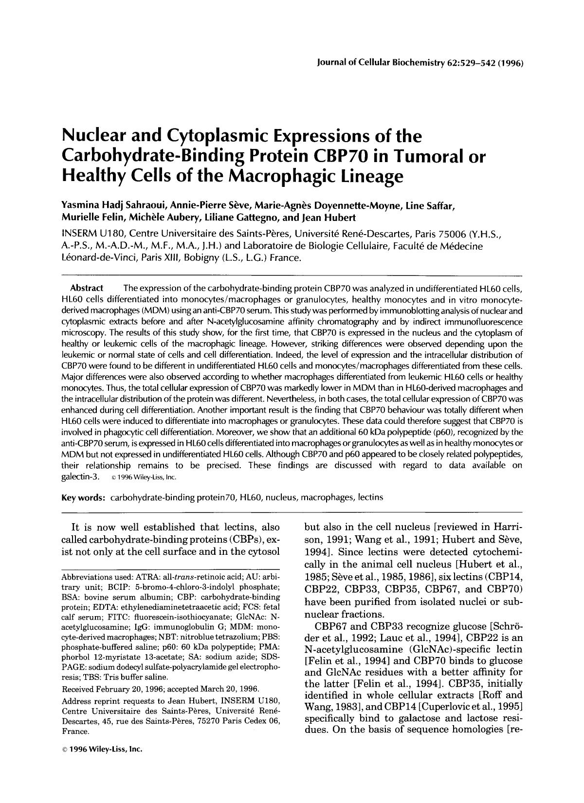 Nuclear and cytoplasmic expressions of the carbohydrate-binding protein CBP70 in tumoral or healthy cells of the macrophagic lineage by Unknown