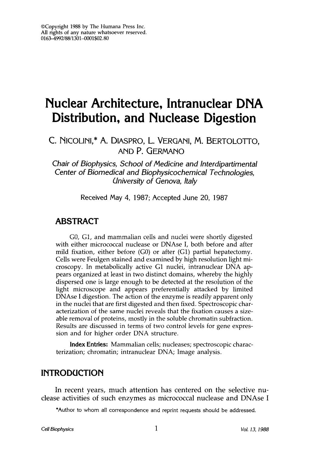 Nuclear architecture, intranuclear DNA distribution, and nuclease digestion by Unknown